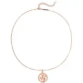Hey Happiness Chaîne 'Sagittarius' or rose