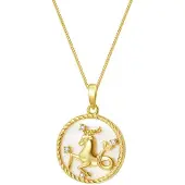 Hey Happiness Chaîne 'Capricorn' or