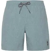 Protest Davey Swimming Shorts Bleu L Homme