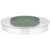 Mepal Deckel für Schüssel Chef It transparent, nordic sage, 1 St., Ustensile de cuisine : accessoires, Vert, Transparent