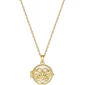 Hey Happiness Chaîne 'Eternity Locket' or