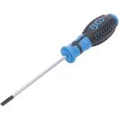 Bgs Tournevis fente 5,5 mm longueur de la lame 125 mm (Escale)