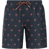 Protest Calvin Swimming Shorts Bleu 104 cm Garçon