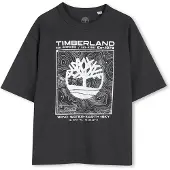 Timberland T60794 Short Sleeve T-shirt Gris 16 Years Garçon