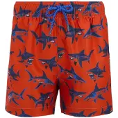 Regatta Short De Bain Skander