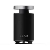 PEAQ Pps 170 Partyspeaker