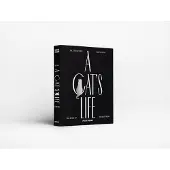 Adlibris Album photo d'une vie de chat noir (33 x 27 cm)