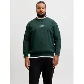 Jack & Jones Soho Plus Size Sweatshirt Vert 6XL / Regular Homme