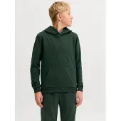 Jack & Jones Sweatshirt Bradley Sweat Crew Enfants