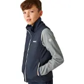 Regatta Acidity Ii Vest Gris 3-4 Years Garçon