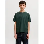 Jack & Jones Junior T-Shirt 'JJEStar' vert foncé