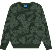 Ocean pacific Sweat-shirt 'Wonthaggi' jade / vert pastel