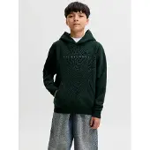 Jack & jones Junior Sweat 'JJEStar' sapin / blanc