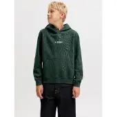 Jack & Jones Junior Sweat 'JJESoho' sapin / blanc
