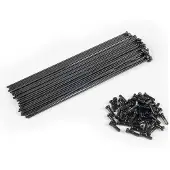 Eclat Pg Spokes And Nipples Kit 40 Units Noir 174 mm