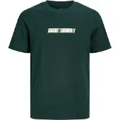 Jack & Jones Junior T-Shirt 'JJMUNK' vert clair / vert foncé / blanc