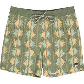 Billabong Vacay Swimming Shorts Vert S Homme