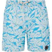 Protest Colney Swimming Shorts Bleu 140 cm Garçons