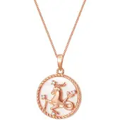 Hey Happiness Chaîne 'Capricorn' or rose
