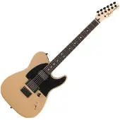 Fender Telecaster Jim Root Ebo Shoreline Gold