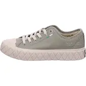 Palladium Baskets Palla Ace Canvas