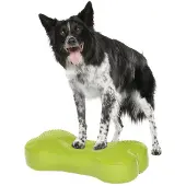 FitPAWS Plate-forme d'équilibre pour animaux K9FITbone PVC Vert