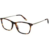 O'Neill EYEWEAR Montures de lunettes ONB-4024 52102