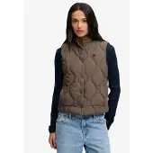 Superdry Gilet kaki