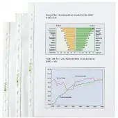 Hetzel Economy (A4)