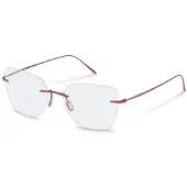 Rodenstock Lunettes Pour Femme R7164 Butterfly