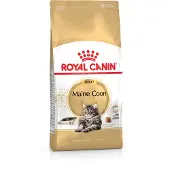 Royal Canin Maine Coon Adult 10 kg + Nourriture humide Maine Coon 12x85 g