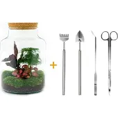 Urbanjngl Diy Terrarium - Milky - ↕ 30 Cm