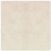 vidaXL Tapis Shaggy Anti-dérapant Crème 160 x 160 cm PP