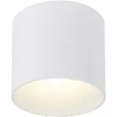 Wever & Ducre Ray Outdoor LED Applique White Matt | 3000 K
