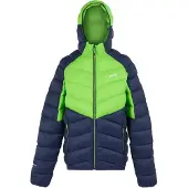 Regatta Dalent Jacket Vert,Bleu L Homme