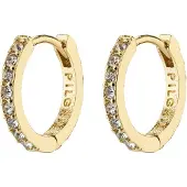 Pilgrim Boucles d'oreilles 'EBNA' or / transparent