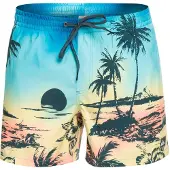 Quiksilver Everyday Paradise Volley 15´´ Swimming Shorts Bleu S Homme
