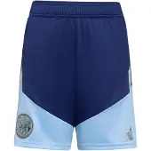 Adidas Pantalon de sport 'Ajax 26/27 Tiro26' bleu marine / bleu clair / gris