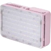 Amaran Ace 25x rose