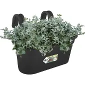 Elho Easy Hanger Green Basics (36 x 36 x 26 cm)