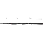 Abu Garcia Canne Baitcasting Beast Pike