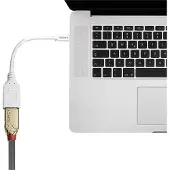 Lindy - Adaptateur DisplayPort - Mini DisplayPort (M) pour DisplayPort (F) - 15 cm - blanc