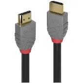 Lindy HDMI (Typ A) — HDMI (Typ A) (0.30 m), Câble vidéo, Noir