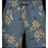 Rip Curl Sessions Swimming Shorts Bleu S Homme