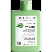 Teaology Matcha Tea Repair Shampoo shampoing fortifiant 250 ml
