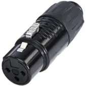 Rean RA3FT-B Adaptateur XLR mini XLR mâle - mini XLR femelle Nombre de pôles (num.):3 1 S, Connecteur audio, Or, Argent