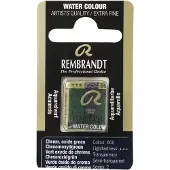 Taidepiste Aquarellfarbe Rembrandt 1/2Näpfli