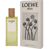 Big Buy Cooking Parfum - - Agua EDT - 50 ml - Unisexe - Eau de Toilette
