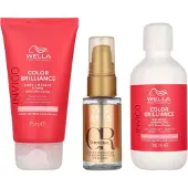 Wella Invigo Color Brilliance