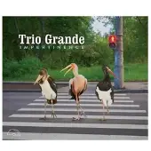 OUTHERE Trio Grande : "Impertinence